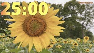 25 Minute Sunflower Field 🌻🌻 Timer Countdown ⏳