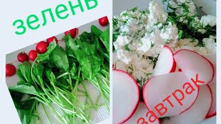 как хранить зелень/  завтрак/ фермерские продукты