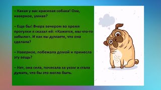 Вечеринка считается удачной, если на утро выпили всю воду... ДАЖЕ ИЗ УТЮГА. Юмор на каждый день.