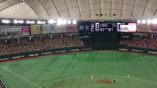 Hanshin Tigers Chanting