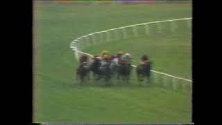 1977 MANAWATU CHALLENGE STAKES - LA MER