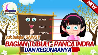 Belajar sains SD bagian tubuh dan kegunaannya animasi pendidikan indonesia edumotion