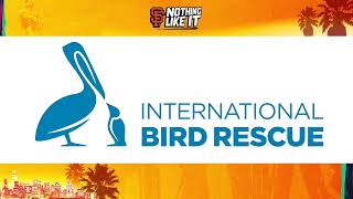 International Bird Rescue – SF Giants Community Spotlight, July 27, 2024