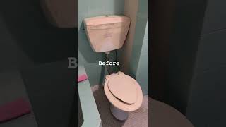 Renovating my studio apartment new toilet installation