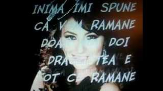 ANDRA-Dragostea e tot ce ramane instrumental