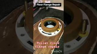 Toilet floor flange repair #ytshorts #youtubeshorts #toilet #plumbing #technicalideasdailylife