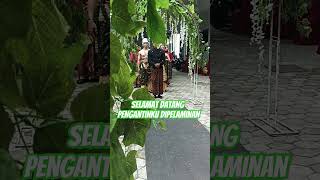 Selamat datang dipelaminan pengantin ku#shorts #short