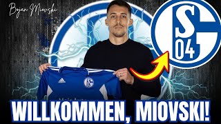 BALKAN-BOMBER Miovski: Schalkes NEUE Sturmhoffnung? | HSV NACHRICHTEN