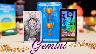 ♊️GEMINI | 🥰NO MATTER YOUR PAST, THIS NEW PERSON IS HERE FOR IT!