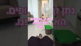 נתן זך. החטופים. האם יטלפנו. זוועה #askanditshallbegiven #איראן