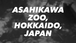 Asahikawa Zoo, Hokkaido, Japan