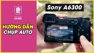 Hướng dẫn sử dụng các chế độ Auto trên máy ảnh Sony