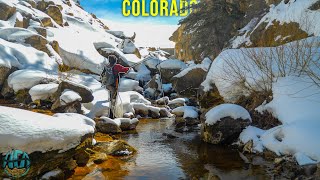 Fly Fishing and INCREDIBLE small creek! (Winter Trout Fishing)