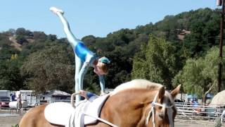 Trot Freestyle Oct. 4, 2015