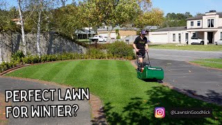 Winter lawn preparation // Lawn tips mix and Lonhro herbicide for onion weed