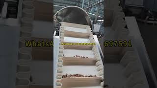 Dog Food Production Machine Pet Food Extruder Dry Dog Food Making Machine Cat Feed Machine