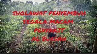 SHOLAWAT BURDAH SHOLAWAT PENYEJUK HATI PENYEMBUH SEGALA MACAM PENYAKIT