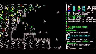 Let's play Caves of Qud 33