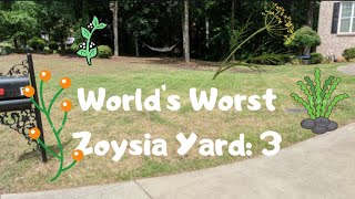 World's Worst Zoysia Lawn PGF Complete and N-Ext BioStimulant Part 3