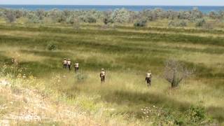 Sea Breeze 2016 Ukraine, Black Sea