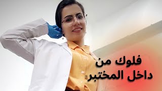 يوم في حياة محلله vlog