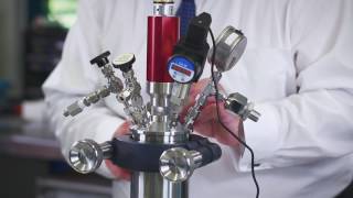 Leak testing on high pressure reactors