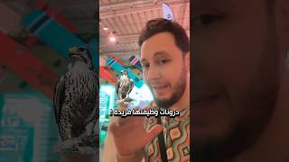 وظيفة فريدة للدرونات في معرض الصقور بالرياض! 🦅🧐