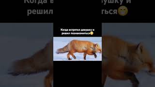 Когда встретил красивую девушку