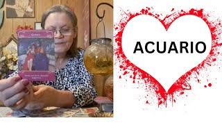 ACUARIO ❤️ AMOR ❤️ LO QUE DEBES SABER SOBRE ESTA CONEXIÓN ❤️ TAROT NOVIEMBRE  2024