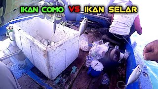 cuma modal rebon bisa panen ikan sebanyak ini