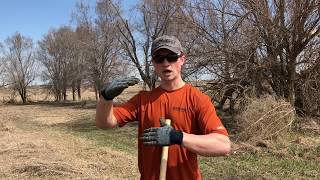 Planting Bare Root Trees