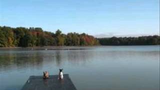 Sitting on the Dock of the Bay  -   PAGLIARO