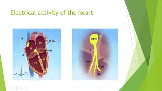 Cardiac arrhythmias