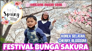 INDAHNYA FESTIVAL BUNGA SAKURA DI KOREA SELATAN (DAEGU TOWER) 2021 🇰🇷🌸😍