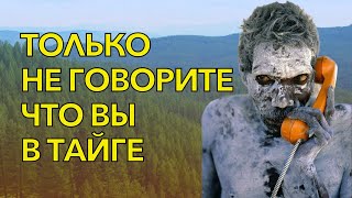 ТОЛЬКО НЕ ГОВОРИТЕ ЧТО ВЫ В ТАЙГЕ #разговорысколлекторами #мирпротивколлекторов #коллекторызвонят