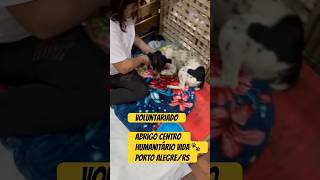 Voluntária no ABRIGO CENTRO HUMANITÁRIO VIDA #voluntariado #petlover #adote