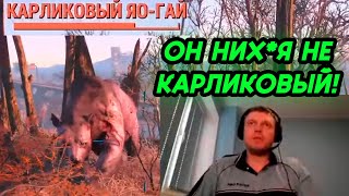 Папич в шоке от Карликового ЯО-ГАЯ?