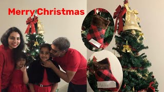 Christmas Celebration Vlog l Indian Family In US l Pandemic Holiday Celebration l Holiday Time