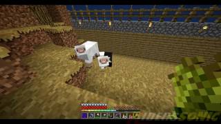 DOBLE ENTRADA A LA HOUSONA XD - Minecraft #6