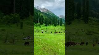 kumrat white and green mountains beautiful view