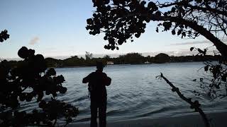 Nathaniel P  Reed Hobe Sound National Wildlife Refuge   Florida