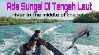 Ada Sungai Di Tengah Laut