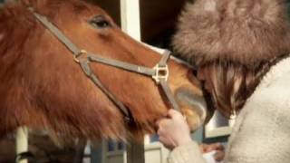 Cate Le Bon "Shoeing The Bones" (official video)