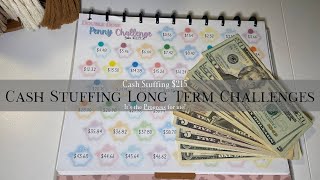 2024 Saving Challenges: Long Term Savings + CD Ladder $230