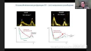 Дисфункция ЛП как основной драйвер СНсФВ