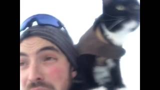 Sledding with my cat