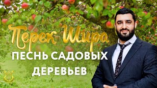 🌳Перек Шира: Песнь Деревьев (Рав Исраэль Якобов) Цикл: Песнь Творения. #23