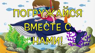 Библия№2. Почему я читаю Библию?