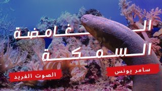 وثائقي الأنلقيس الرعاد ثعبان البحر الكهربائي* أداء سامر يونس