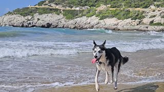 Абсолютное счастье - море 🌊 , собаки 🐕 и рыбалка 🐟